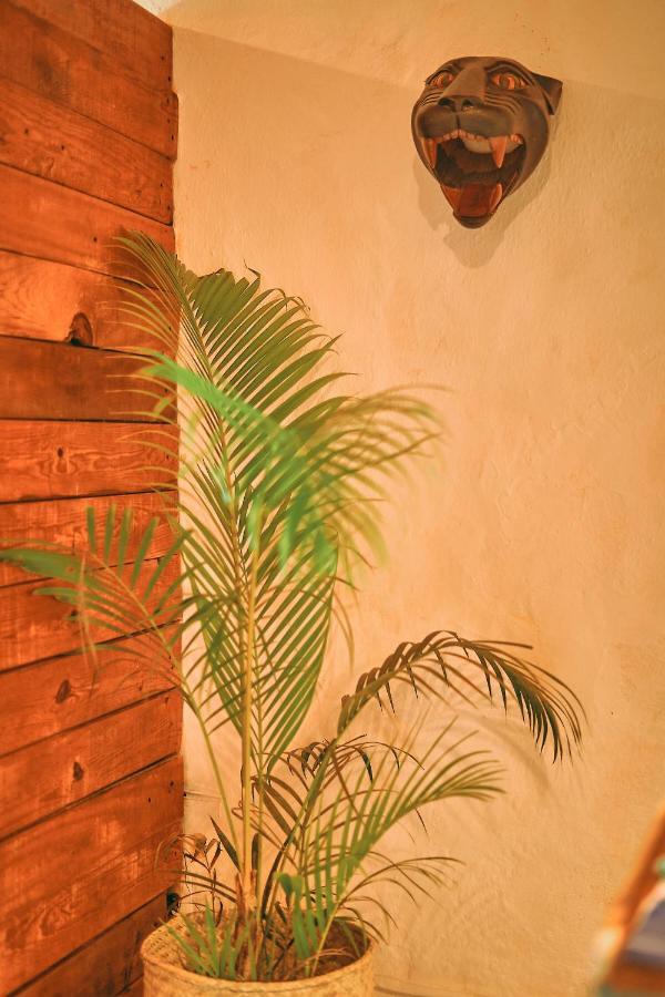 Blue Pepper Beds Sayulita Hostel Kültér fotó